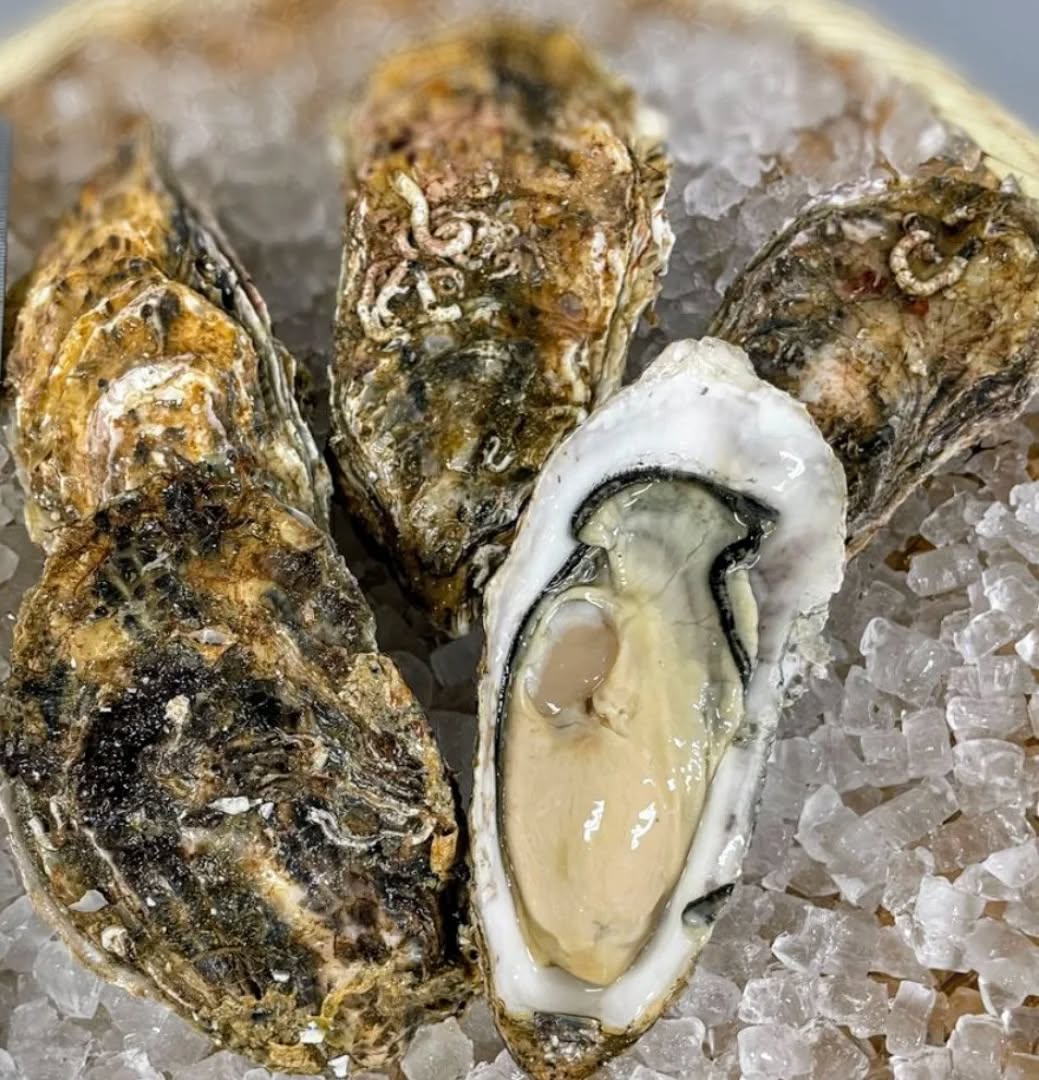 『温盛の台所えんがわ』

　〜おつまみ紹介〜

宮城県産　生牡蠣

１５０g〜２３０gの牡蠣です。
ボリューム感があり
濃厚な旨味が口の中に広がります♪

数量限定なので是非〜

うまうま〜〜

にハマる
#